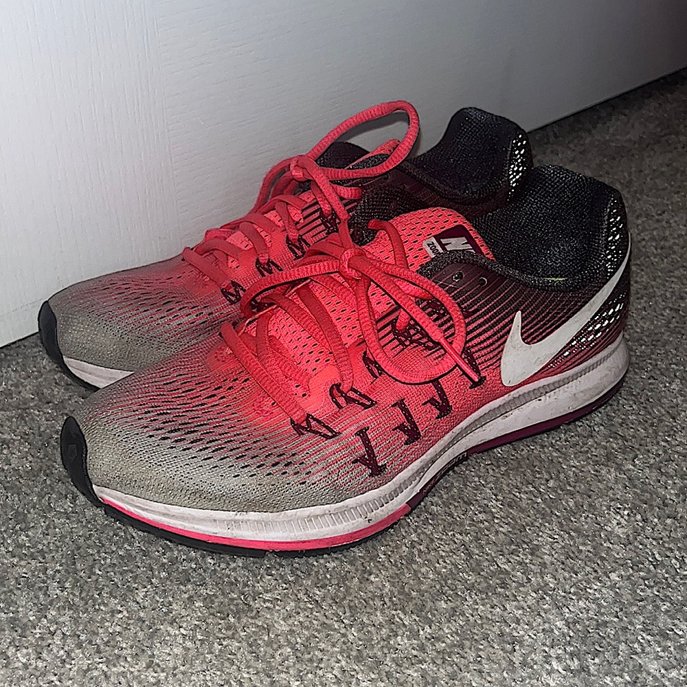 Nike Pegasus 33